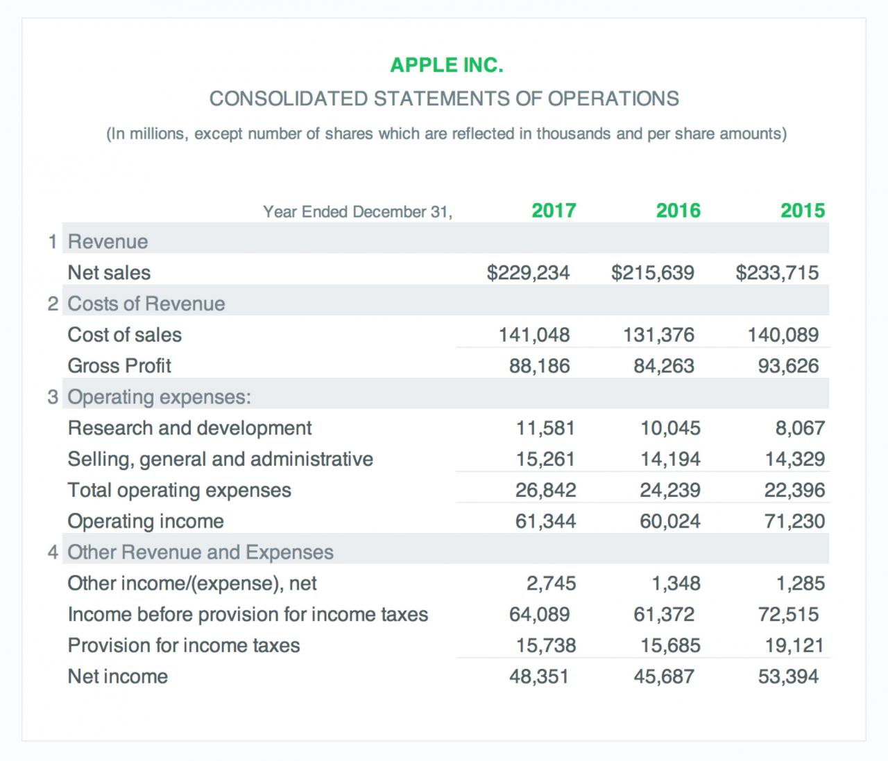 Profit and Loss Statement