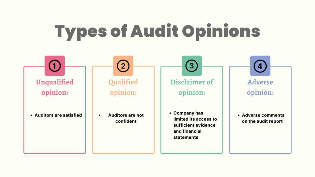 Financial Auditor