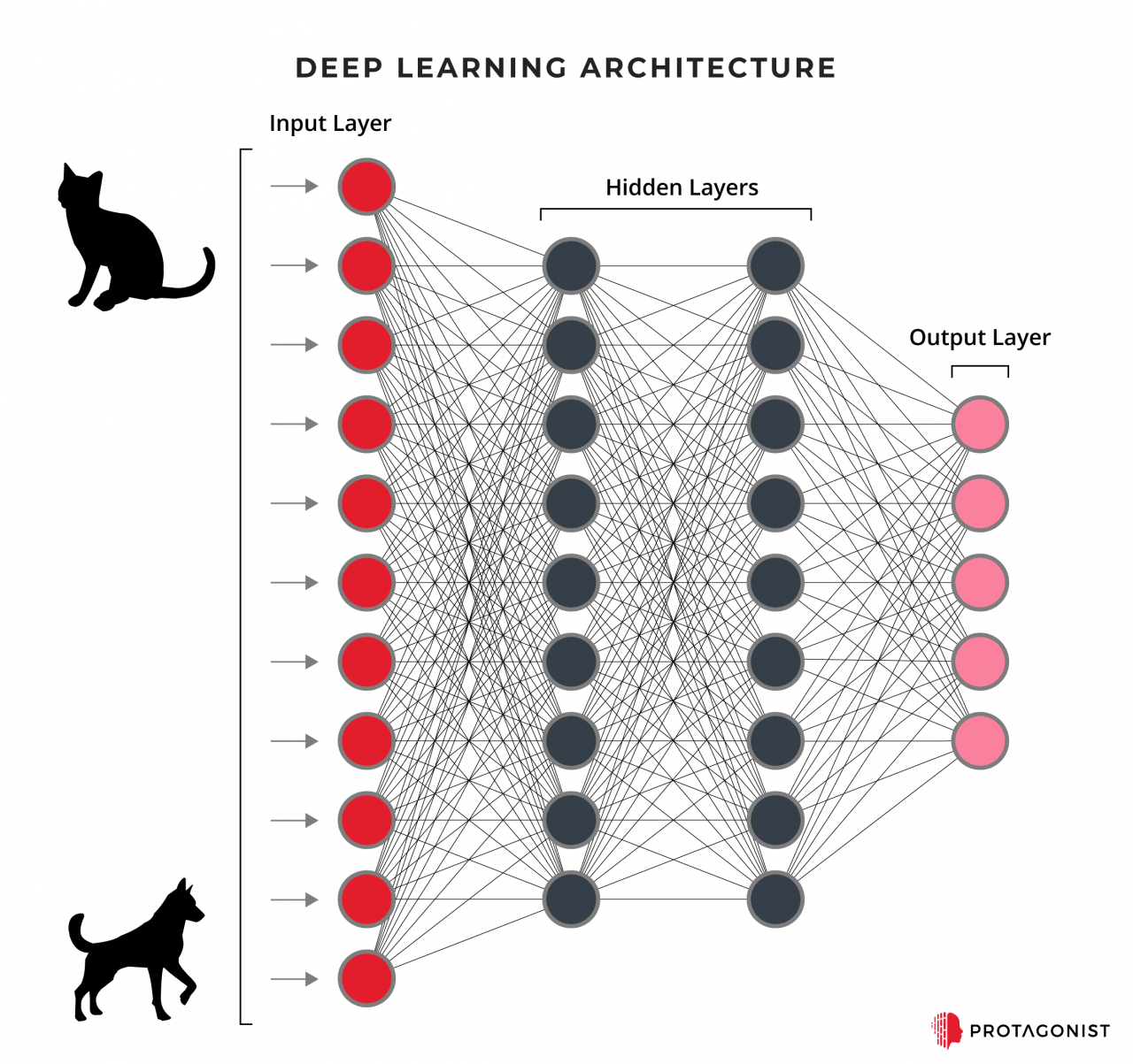 Neural Networks