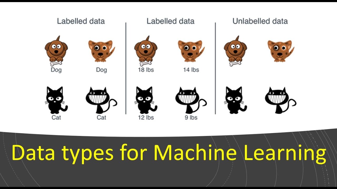 Self-supervised Learning